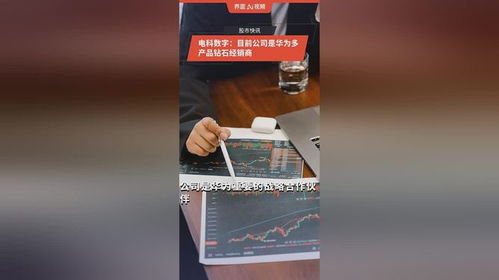 电科数字 华为多产品钻石经销商与数码代理业务的双重优势
